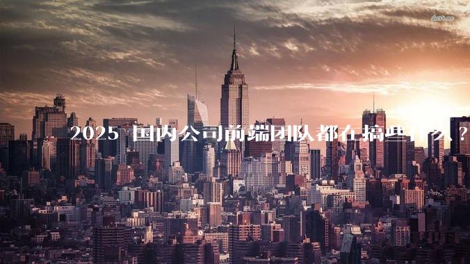 2025 国内公司前端团队都在搞些什么?