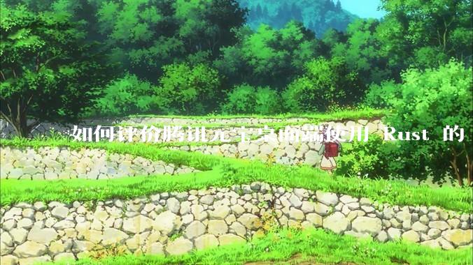 如何评价腾讯元宝桌面端使用 Rust 的 Tauri 框架？