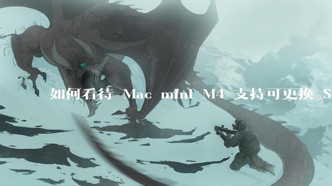 如何看待 Mac mini M4 支持可更换 SSD？