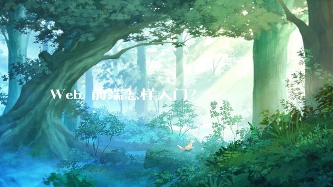 Web 前端怎样入门？