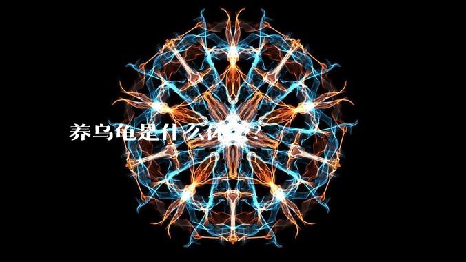 养乌龟是什么体会？