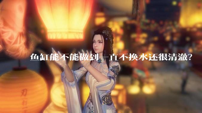 鱼缸能不能做到一直不换水还很清澈？