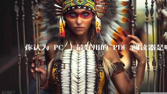 你认为 PC 上最好用的 PDF 阅读器是哪一种？