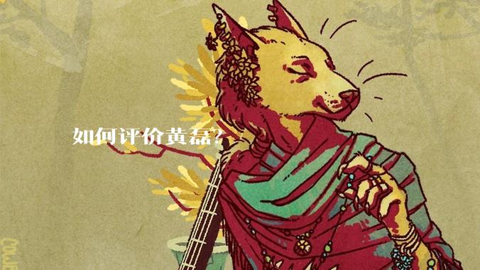 如何评价黄磊？