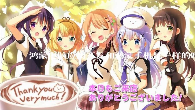 鸿蒙电脑应用开发和鸿蒙手机是一样的吗？