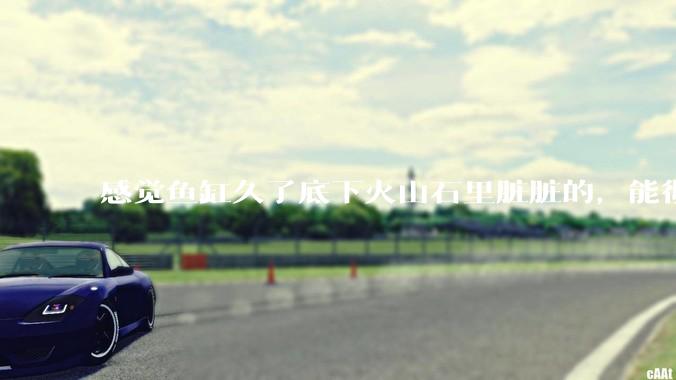 感觉鱼缸久了底下火山石里脏脏的，能彻底换水清理一遍不？