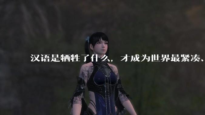 汉语是牺牲了什么，才成为世界最紧凑、最高效的语言？