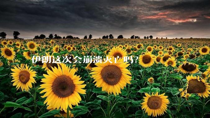 伊朗这次会崩溃灭亡吗？