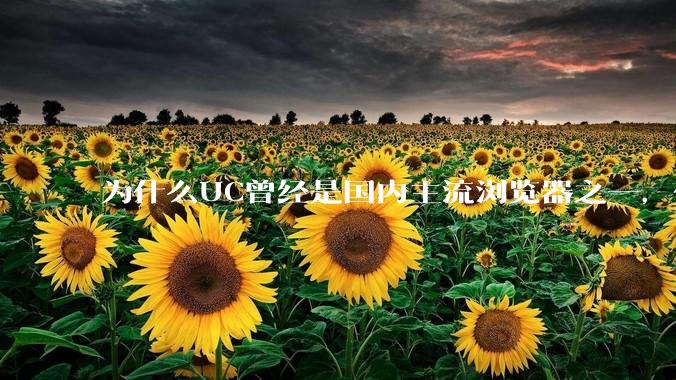 为什么UC曾经是国内主流浏览器之一，但现在却逐渐销声匿迹了？