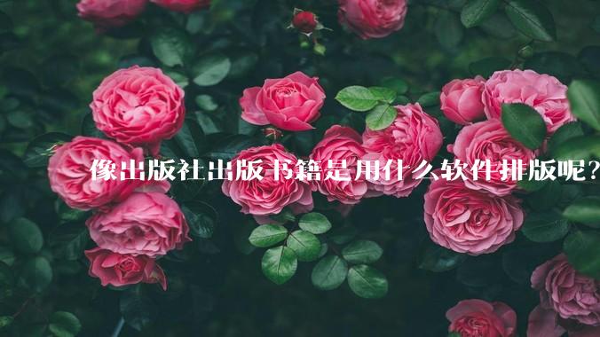 像出版社出版书籍是用什么软件排版呢？除了WPS和Adobe?