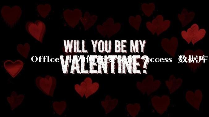 Office 中为何还要保留 Access 数据库?