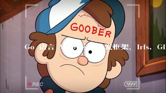 Go 语言 Web 应用开发框架，Iris、Gin、Echo，哪一个更适合大型项目？