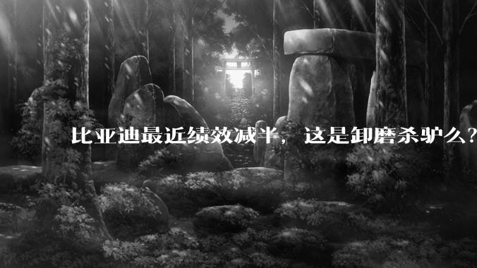 比亚迪最近绩效减半，这是卸磨杀驴么？