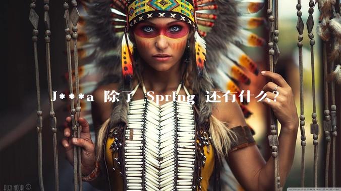 J***a 除了 Spring 还有什么？