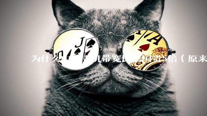 为什么中国主机带宽比美国贵5倍（原来错误的10000倍），比如阿里云？