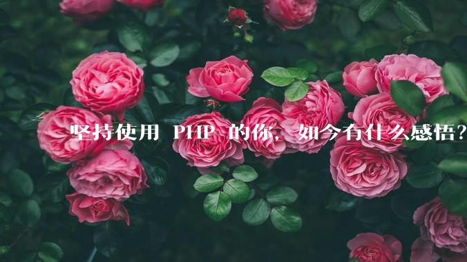 坚持使用 PHP 的你，如今有什么感悟？