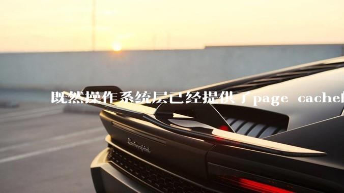 既然操作系统层已经提供了page cache的功能，为什么还要在应用层加缓存？