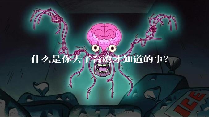 什么是你去了台湾才知道的事？